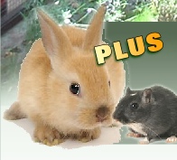 PLUS